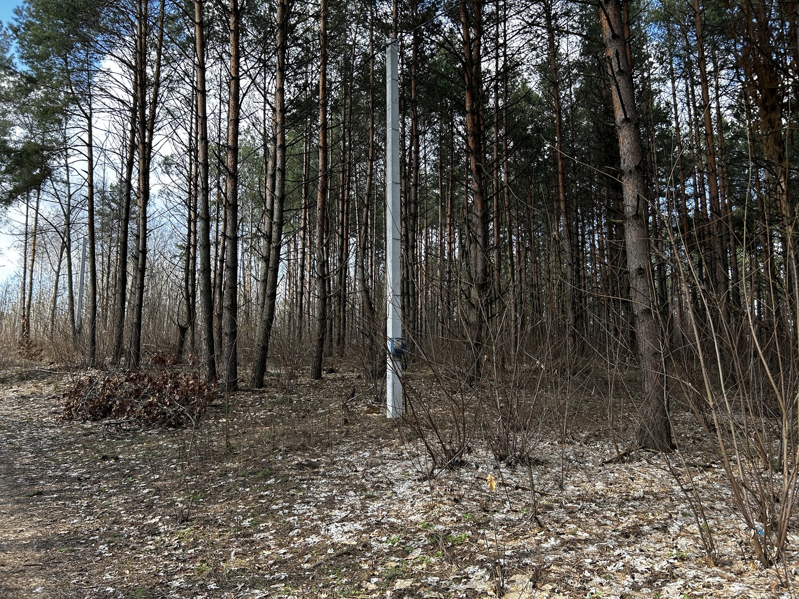 Продаж земельної ділянки з лісом та електрикою – село Дмитрівка, Києво-Святошинського району. фото 1 Продаж земельної ділянки з лісом та електрикою – село Дмитрівка, Києво-Святошинського району. фото 1