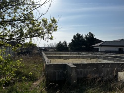      ,  ,    19