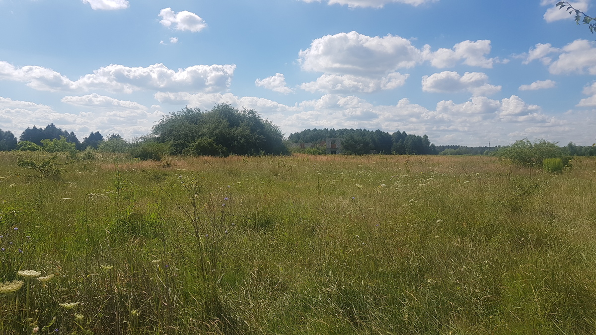 Продам ділянку під забудову, комуникації, Березівка, вул. Калинова фото 1 Продам ділянку під забудову, комуникації, Березівка, вул. Калинова фото 1