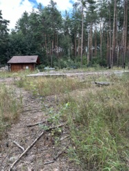 ĳ����� � ������� ����� ���� 15