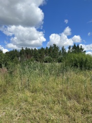 ĳ����� � ��� ������ ���� 3