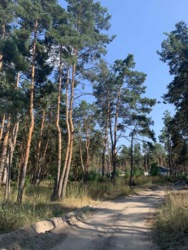 60 ����� � ������ ���� ���� 3