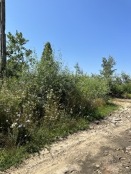 ĳ����� � �������� 10 ����� � ������ ���� 8