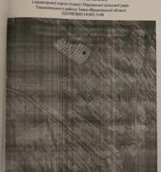 Земля у Павлівці фото 2 Земля у Павлівці фото 2