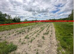земля під будівництво фото 5 земля під будівництво фото 5