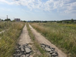   15   . (26116995)  5