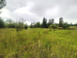 Продається ділянка Житомирська, Житомир, Мальованка, Радонова фото 3 Продається ділянка Житомирська, Житомир, Мальованка, Радонова фото 3