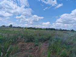 Ділянка 7,3 сот. під будівництво, Коростишів фото 4 Ділянка 7,3 сот. під будівництво, Коростишів фото 4