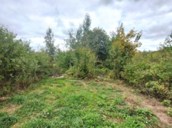 Продається ділянка Житомирська, Житомирський, Пряжів, Б.Хмельницького фото 2 Продається ділянка Житомирська, Житомирський, Пряжів, Б.Хмельницького фото 2