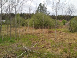 Продаж ділянки в Іванівці на Давидівському повороті фото 6 Продаж ділянки в Іванівці на Давидівському повороті фото 6