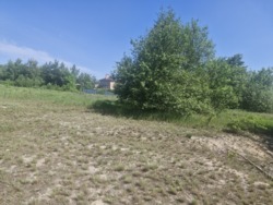 Продаж ділянки с.Тетерівка, крайня до річки фото 6 Продаж ділянки с.Тетерівка, крайня до річки фото 6