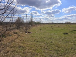 Ділянка 13,5 соток в Іванівці під будинок фото 7 Ділянка 13,5 соток в Іванівці під будинок фото 7