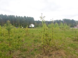 Ділянка 12соток в с.Іванівка (2695592) фото 4 Ділянка 12соток в с.Іванівка (2695592) фото 4