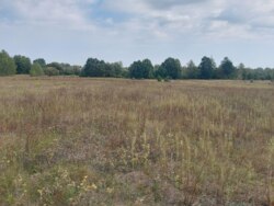 Продається ділянка Житомирська, Житомирський, Березівка, під лісом фото 10 Продається ділянка Житомирська, Житомирський, Березівка, під лісом фото 10