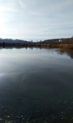 ��������� ������ �����������, ������������, ������ ���� 4