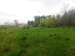 Продається ділянка Житомирська, Житомирський, Давидівка, 22-го Партз'їзду фото 4 Продається ділянка Житомирська, Житомирський, Давидівка, 22-го Партз'їзду фото 4