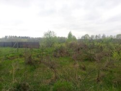 Продається ділянка Житомирська, Житомирський, Іванівка, на Давидівський м-в фото 5 Продається ділянка Житомирська, Житомирський, Іванівка, на Давидівський м-в фото 5