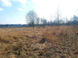   25   . (26105789)  4