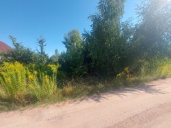 Продається ділянка Житомирська, Житомирський, Пряжів, Ожоженко фото 3 Продається ділянка Житомирська, Житомирський, Пряжів, Ожоженко фото 3