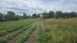 Продаж ділянки 17сот. Слобода-Селець фото 4 Продаж ділянки 17сот. Слобода-Селець фото 4