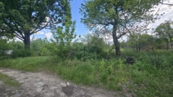 Продаж ділянки 10 соток, Соколовський масив 'Мічуріна' фото 7 Продаж ділянки 10 соток, Соколовський масив 'Мічуріна' фото 7