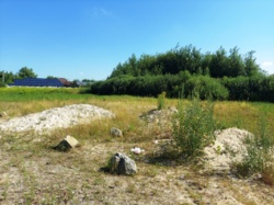 Продається ділянка Житомирська, Житомир, Смоківка, П.Мирного/Світинська фото 3 Продається ділянка Житомирська, Житомир, Смоківка, П.Мирного/Світинська фото 3