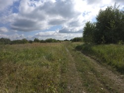 Продається ділянка Житомирська, Житомир, Аеропорт, Коростенська вул. фото 10 Продається ділянка Житомирська, Житомир, Аеропорт, Коростенська вул. фото 10