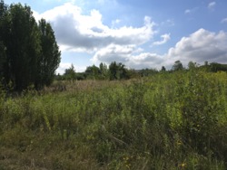 Продаж ділянки 10 сот. р-н аеропора (26126356) фото 6 Продаж ділянки 10 сот. р-н аеропора (26126356) фото 6