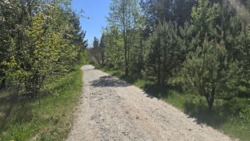 ������ 17,5 ���. �� ��������.(26161757) ���� 5