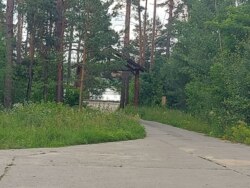 Продається ділянка Житомирська, Житомирський, Новогуйвинське, 'Любава' фото 7 Продається ділянка Житомирська, Житомирський, Новогуйвинське, 'Любава' фото 7