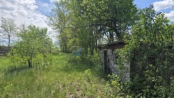 Продаж ділянки 10 соток, Соколовський масив 'Мічуріна' фото 3 Продаж ділянки 10 соток, Соколовський масив 'Мічуріна' фото 3