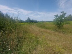 Продається ділянка Житомирська, Житомир, Крошня, Плємоб'єднання фото 5 Продається ділянка Житомирська, Житомир, Крошня, Плємоб'єднання фото 5