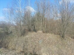   ., 25    (26141862)  7