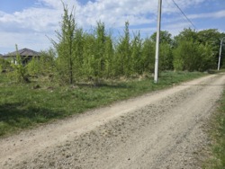 Ділянка в новобудовах, с.Зарічани фото 5 Ділянка в новобудовах, с.Зарічани фото 5