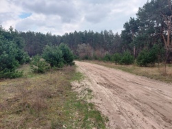 Продається ділянка Житомирська, Житомирський, Пряжів, Лісова/Промислова фото 10 Продається ділянка Житомирська, Житомирський, Пряжів, Лісова/Промислова фото 10