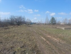 Ділянка 30 соток в с.Садки біля лісу (26140269) фото 6 Ділянка 30 соток в с.Садки біля лісу (26140269) фото 6