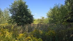 ĳ          (26142819)  25