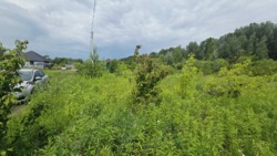 Продаж ділянки з виходом до лісу, Смоківка фото 7 Продаж ділянки з виходом до лісу, Смоківка фото 7