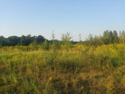 Продається ділянка Житомирська, Житомирський, Дениші, новий масив фото 3 Продається ділянка Житомирська, Житомирський, Дениші, новий масив фото 3