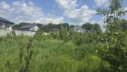 Продаж ділянки на початку с.Іванівка фото 1 Продаж ділянки на початку с.Іванівка фото 1