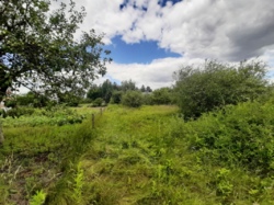 Продається ділянка Житомирська, Житомирський, Новогуйвинське, Дачне-2 фото 8 Продається ділянка Житомирська, Житомирський, Новогуйвинське, Дачне-2 фото 8