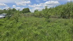 Ділянка 12 соток в с.Кам'янка (26133577) фото 8 Ділянка 12 соток в с.Кам'янка (26133577) фото 8