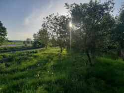    14,6 .  ..(26143857)  10