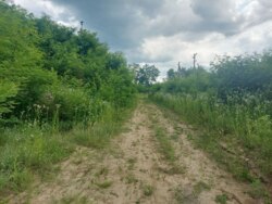 Продається ділянка Житомирська, Житомирський, Станишівка, початок фото 9 Продається ділянка Житомирська, Житомирський, Станишівка, початок фото 9