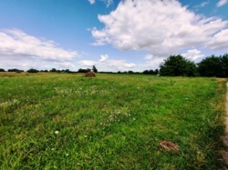 Продається ділянка Житомирська, Житомирський, Вереси, Новошкільна фото 3 Продається ділянка Житомирська, Житомирський, Вереси, Новошкільна фото 3