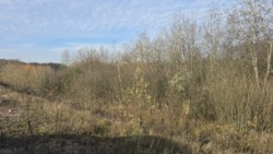 ������ ������� ������ �.�볿��� ���� 8