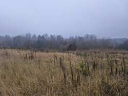 ��������� ������ ������, ������������, ����������� ���� 1