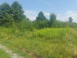 Ділянка 18 соток с.Оліївка фото 5 Ділянка 18 соток с.Оліївка фото 5