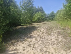 Продаж ділянки с.Тетерівка, крайня до річки фото 2 Продаж ділянки с.Тетерівка, крайня до річки фото 2