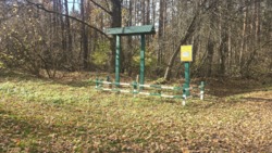 ������ ������ �. ������, ������ �� ��� ���� 5